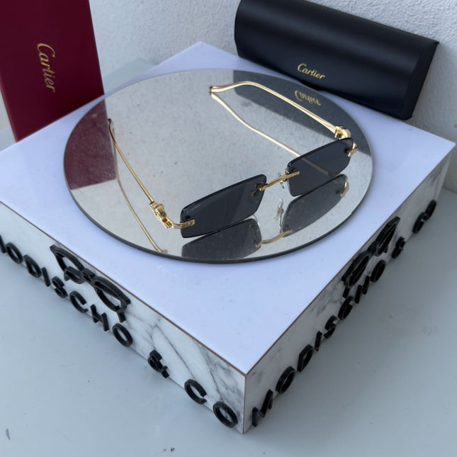 Elegance Unleashed ( 3 İş Gününde Teslim )